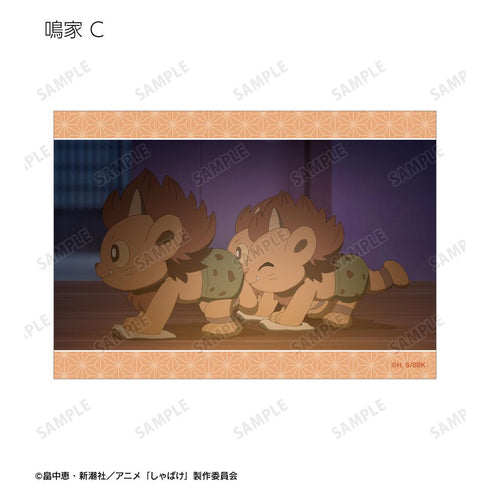 『しゃばけ』トレーディング場面写ブロマイド3枚セット(単位/BOX)