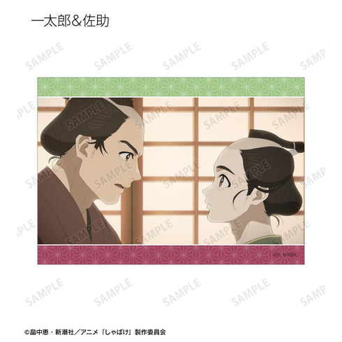 『しゃばけ』トレーディング場面写ブロマイド3枚セット(単位/BOX)