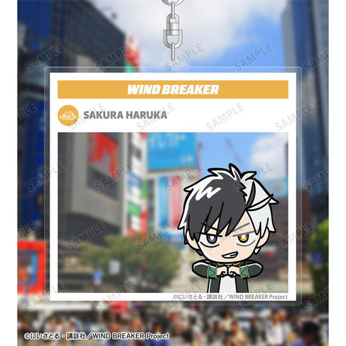 『WIND BREAKER』桜 遥 ちびキャラ BIGアクリルキーホルダー【202603再販】