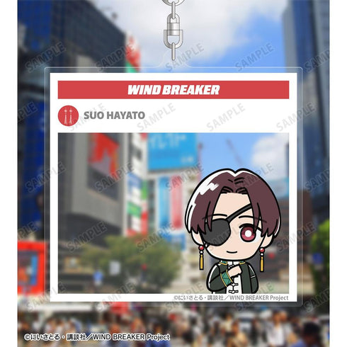 『WIND BREAKER』蘇枋 隼飛 ちびキャラ BIGアクリルキーホルダー【202603再販】
