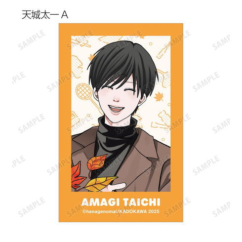 『高良くんと天城くん兄貴の友達』はなげのまい先生 描き下ろし 公園ver. トレーディングイラストカード(単位/BOX)