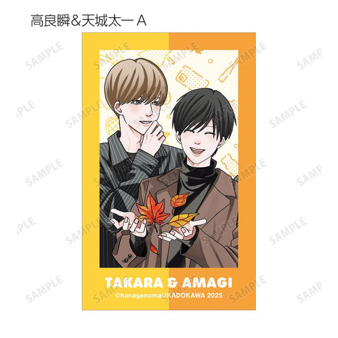 『高良くんと天城くん兄貴の友達』はなげのまい先生 描き下ろし 公園ver. トレーディングイラストカード(単位/BOX)