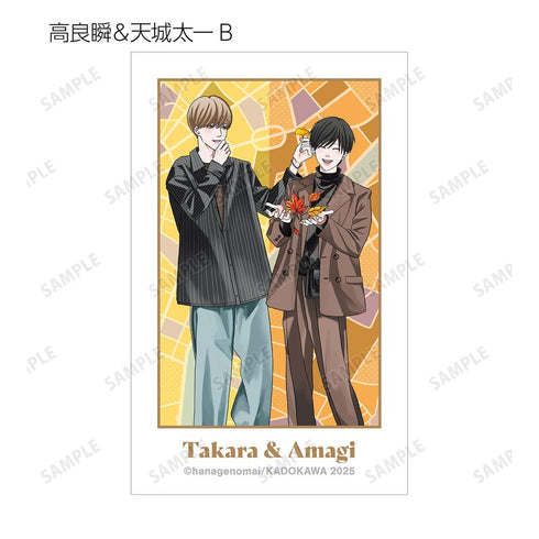 『高良くんと天城くん兄貴の友達』はなげのまい先生 描き下ろし 公園ver. トレーディングイラストカード(単位/BOX)