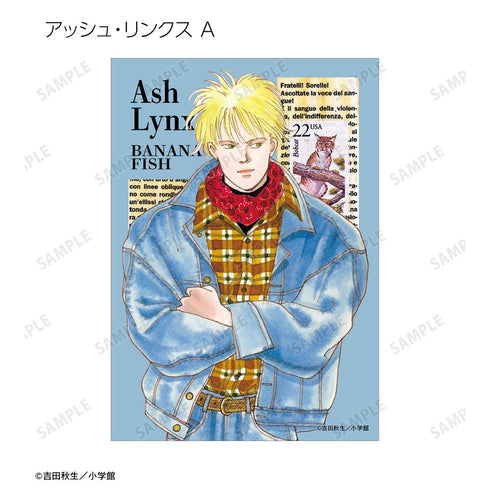 『BANANA FISH』トレーディング原作イラストブロマイド(単位/BOX)
