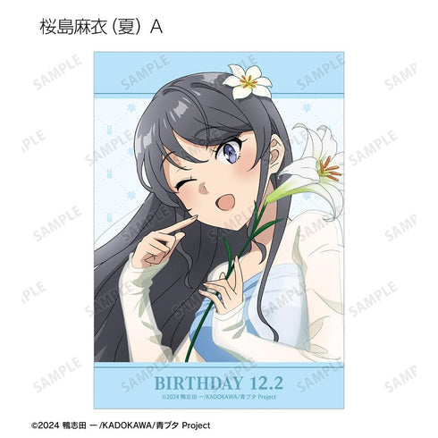 『青春ブタ野郎はサンタクロースの夢を見ない』描き下ろし トレーディングブロマイド <桜島麻衣 バースデー2025ver.>(単位/BOX)