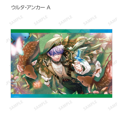 『廻らぬ星のステラリウム』トレーディングポストカード vol.2 ver.B(単位/BOX)