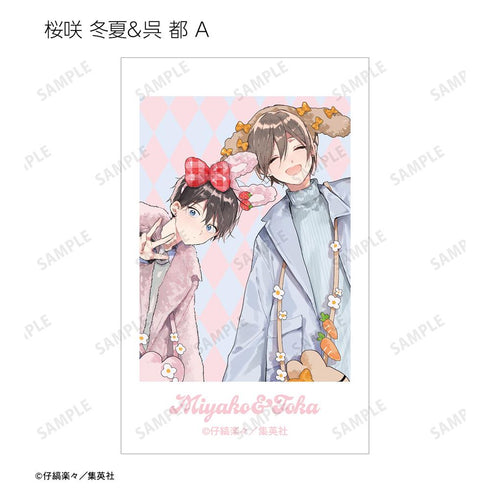 『ハレルヤベイビー』仔縞楽々先生 描き下ろし デートver. トレーディングイラストカード(単位/BOX)