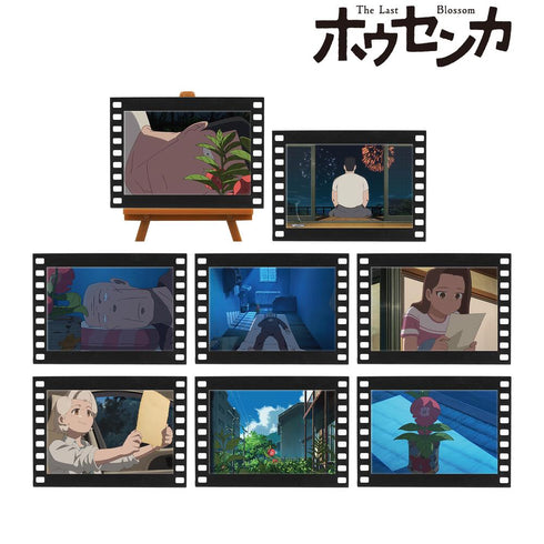 『ホウセンカ』トレーディング場面写フィルム風ミニアートフレーム(単位/BOX)