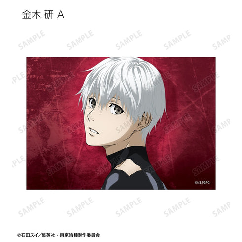 『東京喰種トーキョーグール』描き下ろし 戦う背中ver. トレーディングブロマイド(単位/BOX)【202610再販】