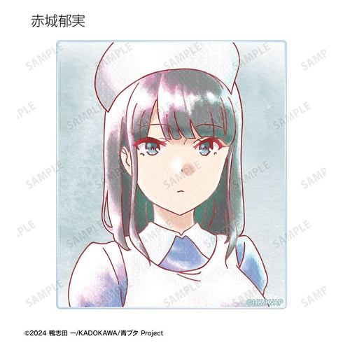 《青春豬男不會做聖誕老人的夢》Ani-Art aqua label 亞克力卡(單位/盒)【202604再版】