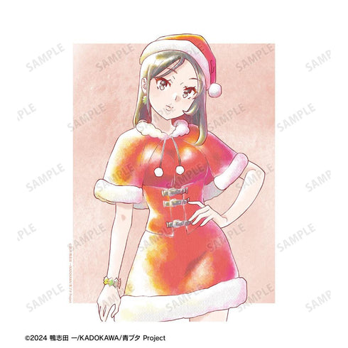 『青春ブタ野郎はサンタクロースの夢を見ない』ミニスカサンタ Ani-Art aqua label F3号キャンバスボード【202604再販】