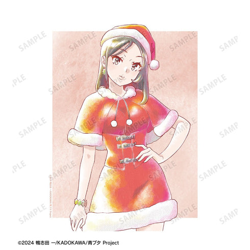 『青春ブタ野郎はサンタクロースの夢を見ない』ミニスカサンタ Ani-Art aqua label F3号キャンバスボード【202610再販】