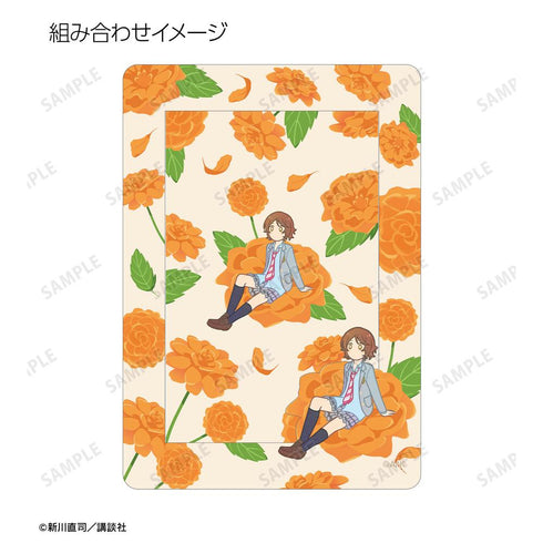 『四月は君の嘘』澤部椿 Botania イラストカード&B8硬質ケースセット