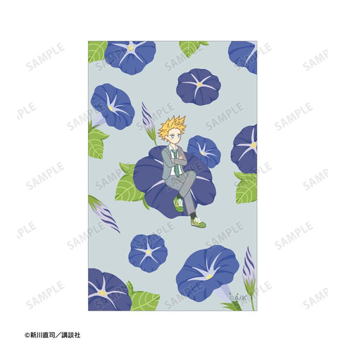 『四月は君の嘘』相座武士 Botania イラストカード&B8硬質ケースセット