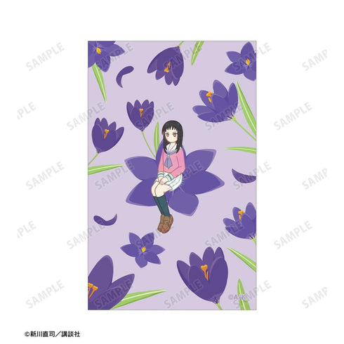 『四月は君の嘘』井川絵見 Botania イラストカード&B8硬質ケースセット