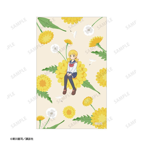 『四月は君の嘘』相座凪 Botania イラストカード&B8硬質ケースセット