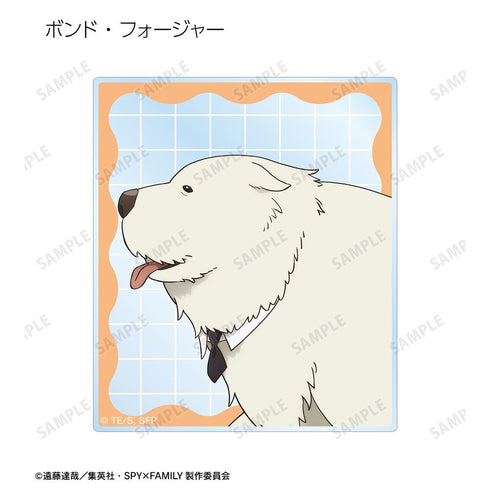 『SPY×FAMILY』描き下ろし 歩みver. トレーディングアクリルカード(単位/BOX)