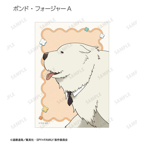 『SPY×FAMILY』描き下ろし 歩みver. トレーディングブロマイド(単位/BOX)