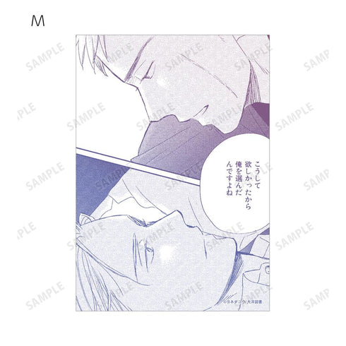 『囀る鳥は羽ばたかない』トレーディングブロマイド2枚セット vol.3(単位/BOX)