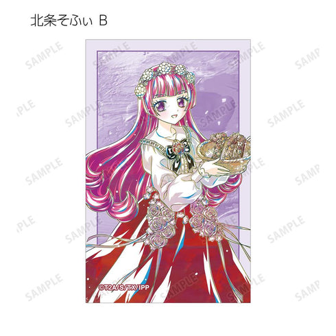『プリパラ』描き下ろし 花まつりver. トレーディング Ani-Art イラストカード(単位/BOX)