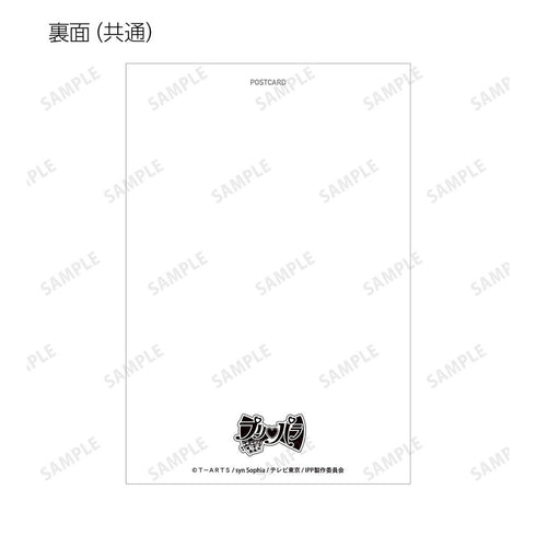 《PriPara》全新绘制 花祭版 Ani-Art 收藏明信片(单位/盒)