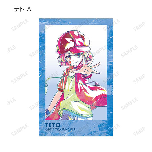 『ノーゲーム・ノーライフ』トレーディング Ani-Art 第2弾 イラストカード(単位/BOX)