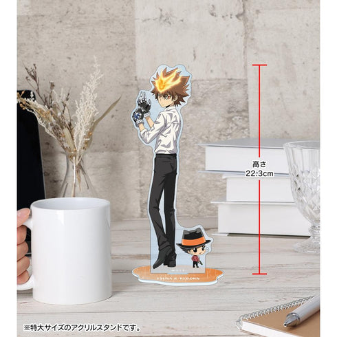 『家庭教師ヒットマンREBORN!』描き下ろし 沢田 綱吉&リボーン 戦う背中×雨ver. 特大アクリルスタンド