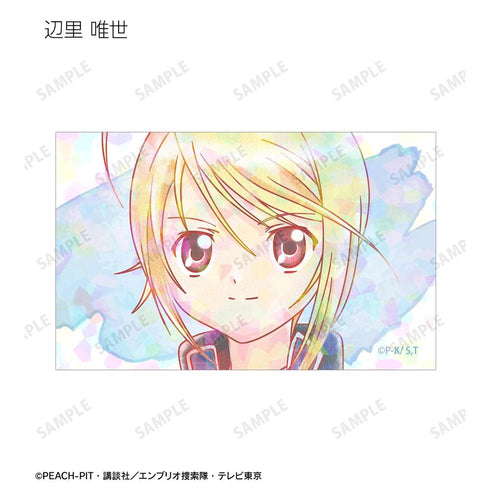 『しゅごキャラ!』トレーディング Ani-Art aqua label ホログラムイラストカード(単位/BOX)【202605再販】