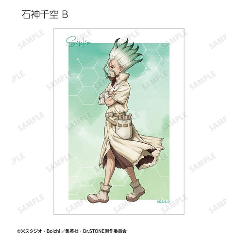 『Dr.STONE』描き下ろし 歩みver. トレーディングブロマイド(単位/BOX)