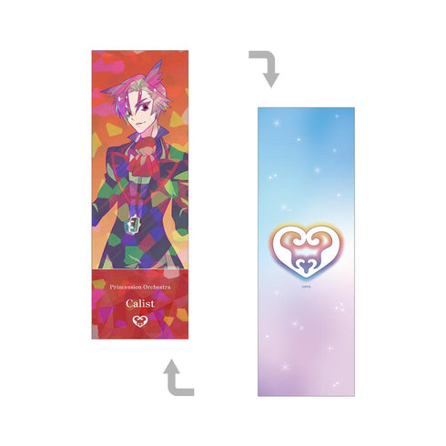 『プリンセッション・オーケストラ』カリスト Ani-Art clear label ホログラムチケット風カード