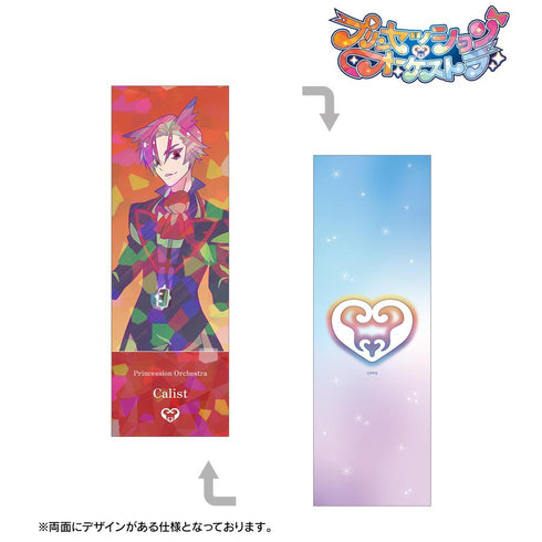 『プリンセッション・オーケストラ』カリスト Ani-Art clear label ホログラムチケット風カード