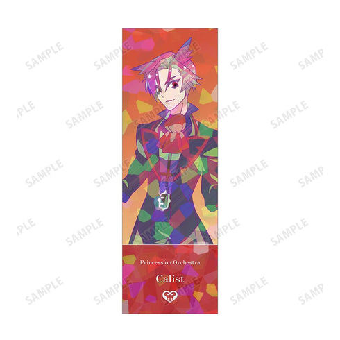 『プリンセッション・オーケストラ』カリスト Ani-Art clear label ホログラムチケット風カード