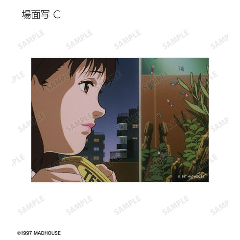 《PERFECT BLUE》交易版剧照写真卡(单位/盒)