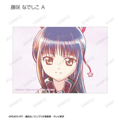《守護甜心!》藤咲 撫子 Ani-Art aqua label 寫真卡2張組【202605再版】