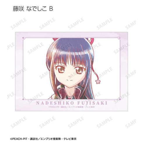 《守護甜心!》藤咲 撫子 Ani-Art aqua label 寫真卡2張組【202605再版】