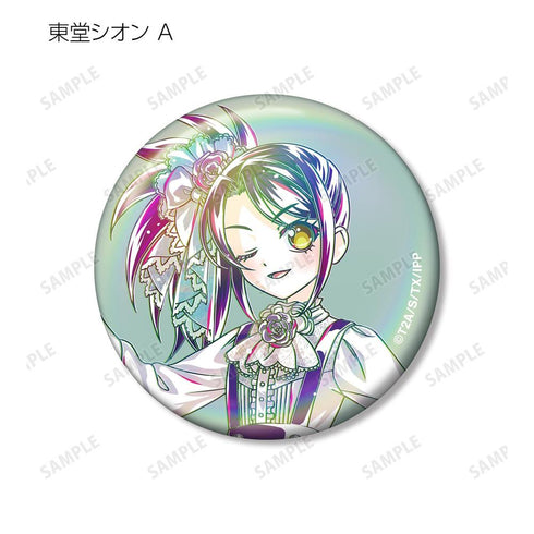 《PriPara》全新绘制 花祭版 Ani-Art 极光徽章(单位/盒)