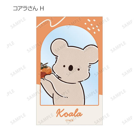 『コアラ絵日記』トレーディングコンパクトクリアカード(単位/BOX)
