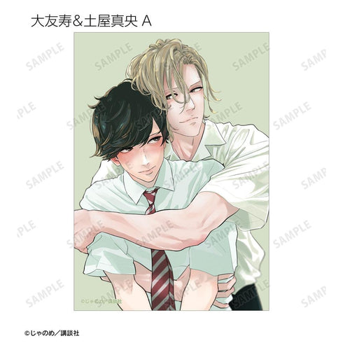 《黄昏失焦》收藏卡(单位/盒)