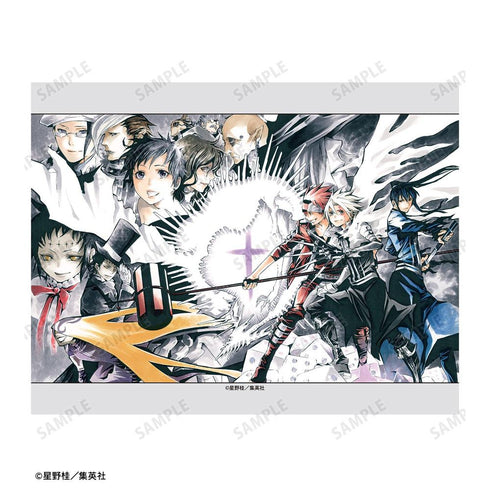 『D.Gray-man』第106夜 カラーイラストF0号キャンバスボード