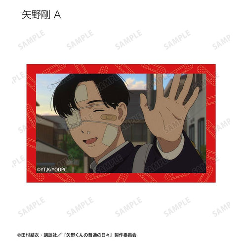 『矢野くんの普通の日々』トレーディング場面写イラストカード(単位/BOX)