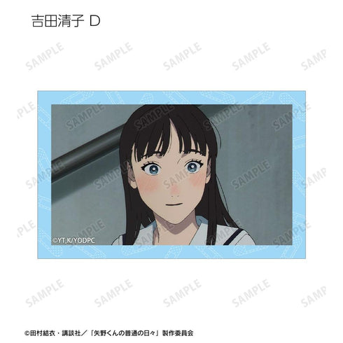 『矢野くんの普通の日々』トレーディング場面写イラストカード(単位/BOX)