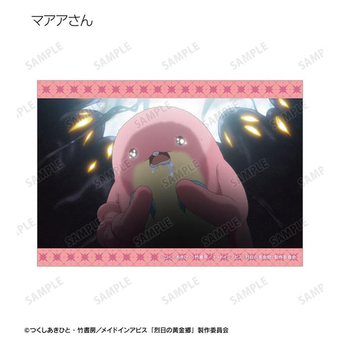 《深渊之物语:烈日下的黄金乡》交易卡场景写真卡(单位/盒)【202604再版】