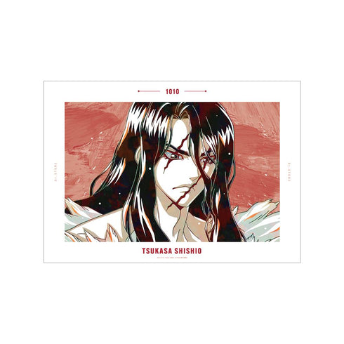 『Dr.STONE』獅子王司 Ani-Art 第3弾 A3マット加工ポスター