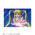 《Pichi Pichi Pitch》七海露奇亚 场景明信片6张套装