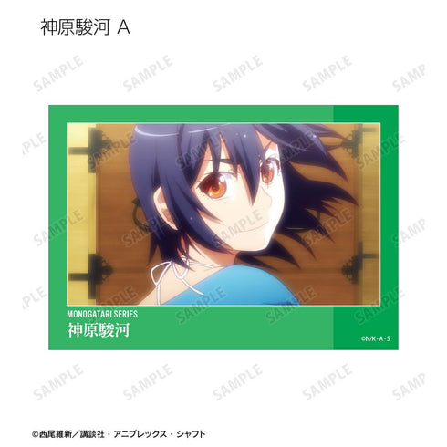 『〈物語〉シリーズ』トレーディング場面写ブロマイド(単位/BOX)