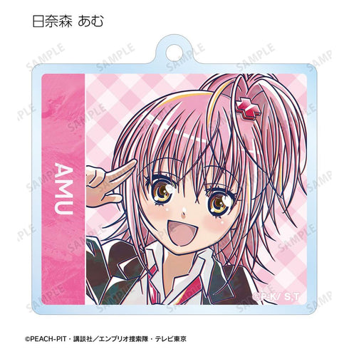 《守護甜心!》Ani-Art 亞克力鑰匙圈(單位/盒)