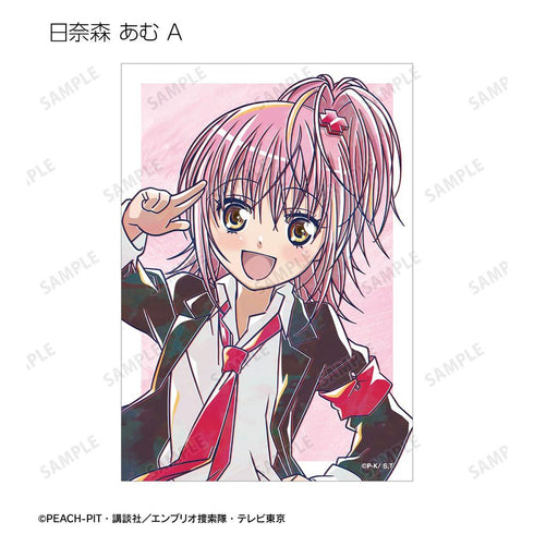 "Shugo Chara!" Hinamori Amu Ani-Art Bromide 2-Piece Set