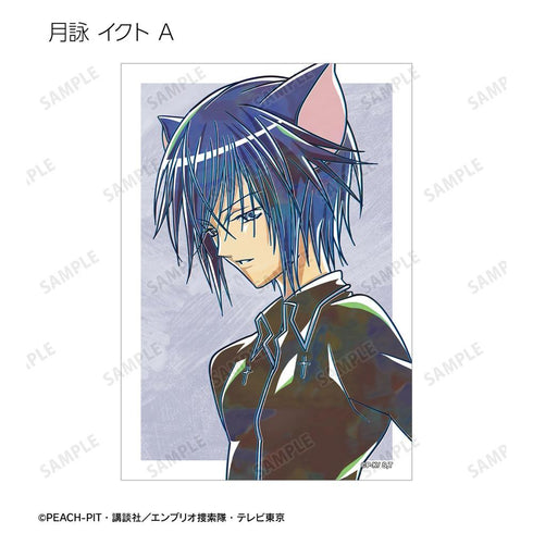"Shugo Chara!" Tsukuyomi Icto Ani-Art Bromide 2-Piece Set