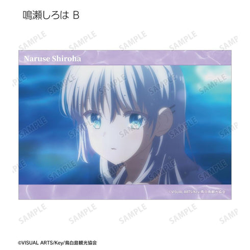 『Summer Pockets』トレーディング場面写ブロマイド(単位/BOX)