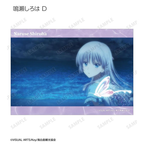『Summer Pockets』トレーディング場面写ブロマイド(単位/BOX)